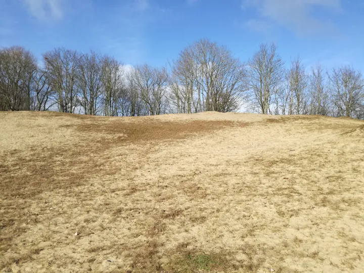 De Panne (België)